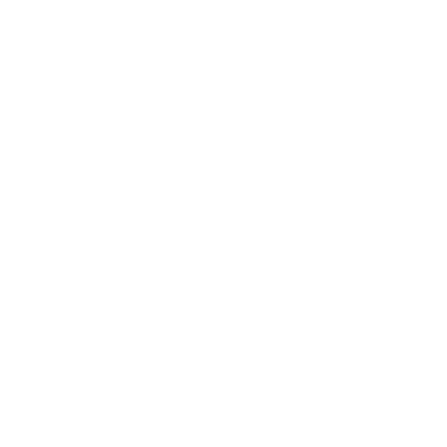 Orka Vision Logo